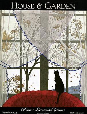 Black Cat and Autumn Leaves Photograph