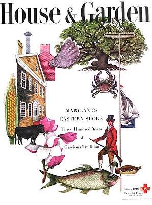 Sea Life Wall Art featuring the photograph House And Garden Cover by Edna Eicke