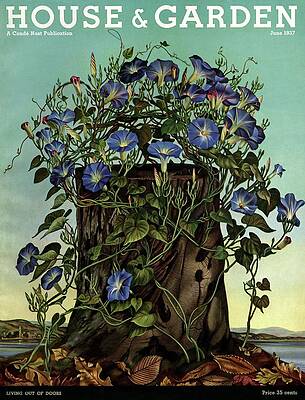 River Wall Art featuring the photograph House And Garden Cover Featuring Flowers Growing by Audrey Buller