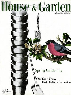 Fork Wall Art featuring the photograph House And Garden Cover Featuring Pots And A Bird by Joseph Cornell