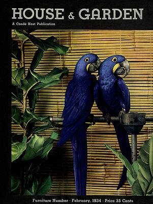 Shoot Wall Art featuring the photograph House And Garden Furniture Number Cover by Anton Bruehl