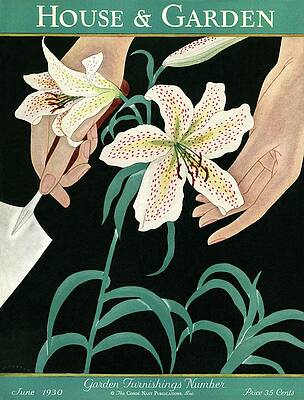 Watercolor Wall Art featuring the photograph House And Garden Garden Furnishings Number by J. C. Atherton