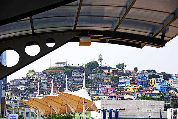 City Photograph - Houses On Cerro Santa Ana From Malecon 2000 by Sami Sarkis Photography
