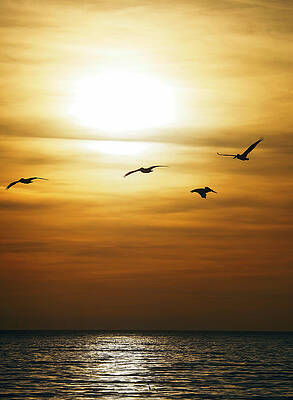 Wall Art featuring the photograph I Believe It Was This Way by Joe Schofield