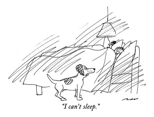 Dog and Human in Bed Wall Art