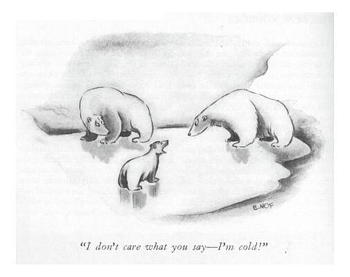 Polar Bear Drawing - I Don't Care What You Say by Ed Nofziger