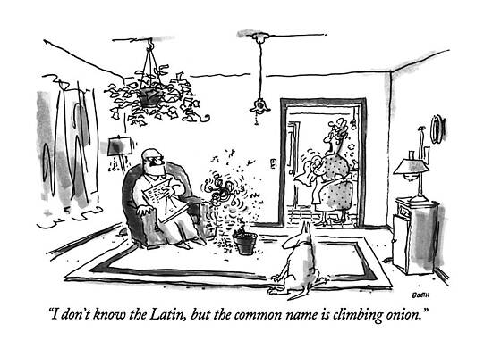 Growth Wall Art featuring the drawing I Don't Know The Latin by George Booth