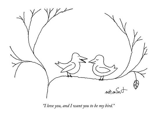 Two Birds Expressing Love Wall Art