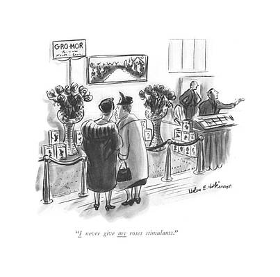 Natural Drawing - I Never Give My Roses Stimulants by Helen E. Hokinson