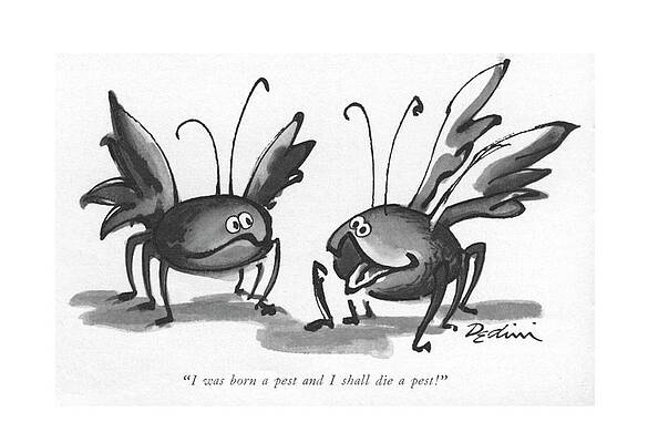 Gardening Drawing - I Was Born A Pest And I Shall Die A Pest! by Eldon Dedini