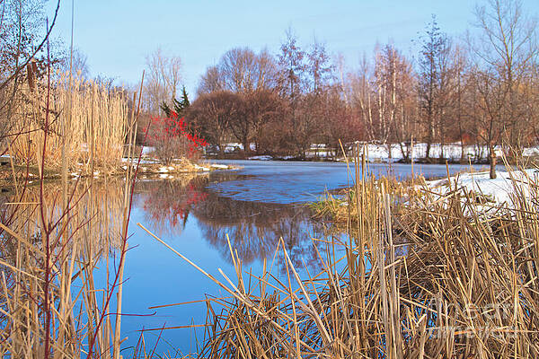 Architecture Wall Art featuring the photograph Ice Forming by William Norton