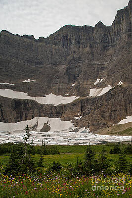 Glacier National Park Photograph - Iceberg Lake In August by Natural Focal Point Photography