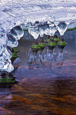 Wall Art featuring the photograph Icy Jewels by Jeff Sinon