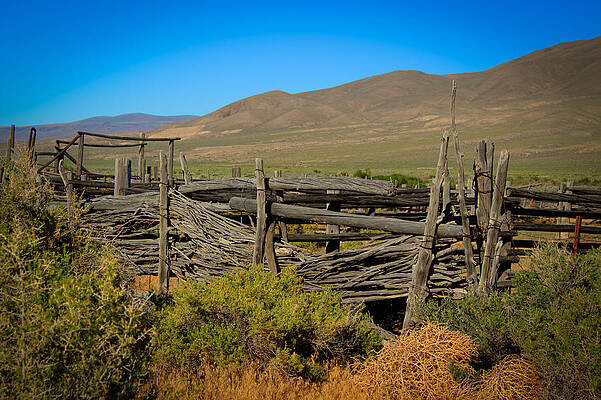 Idaho Wall Art featuring the photograph Idaho Nevada Ranch Alley by Carla E