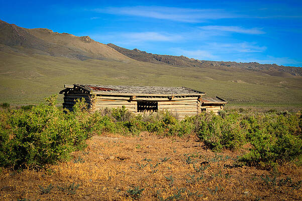 Idaho Wall Art featuring the photograph Idaho Nevada Ranch Cabin by Carla E