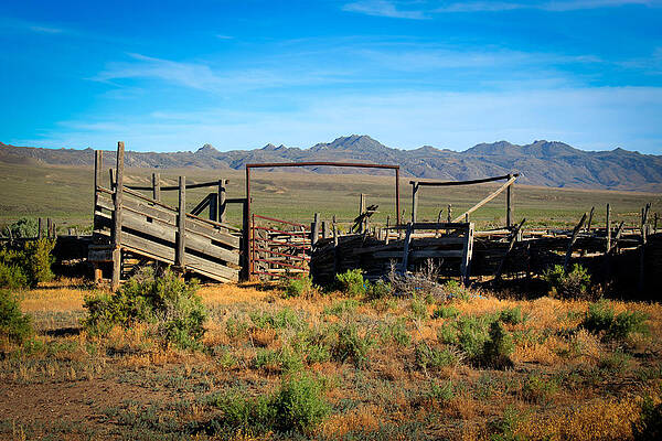 Idaho Wall Art featuring the photograph Idaho Nevada Ranch Corrals by Carla E