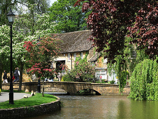 Flower Wall Art featuring the photograph Idyllic Village Scene by Sue Leonard