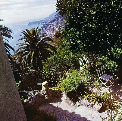 Growth Wall Art featuring the photograph Iliffe Home In Roquebrune by Henry Clarke