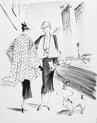 Chic Fashionable Couple Walking Dog Digital Art