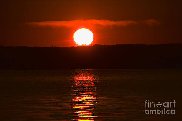 Sunrise Photograph - I'm Up by William Norton