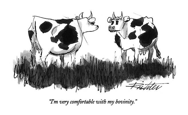 Farm Wall Art featuring the drawing I'm Very Comfortable With My Bovinity by Mischa Richter