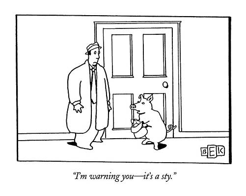 Pig Drawing - I'm Warning You - It's A Sty by Bruce Eric Kaplan