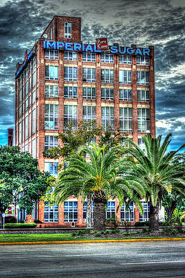 Imperial Sugar Building with Palm Trees Wall Art