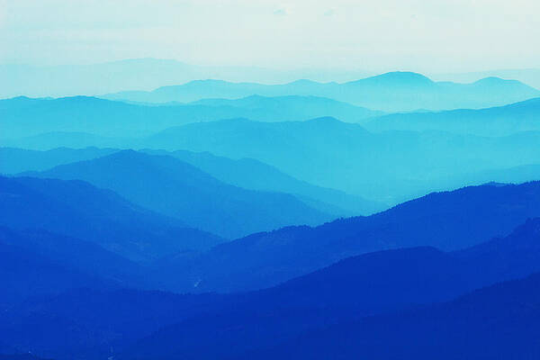 Wall Art featuring the photograph In The Blue by Lisa Chorny