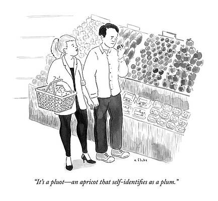 Grocery Store Fruit Confusion Print
