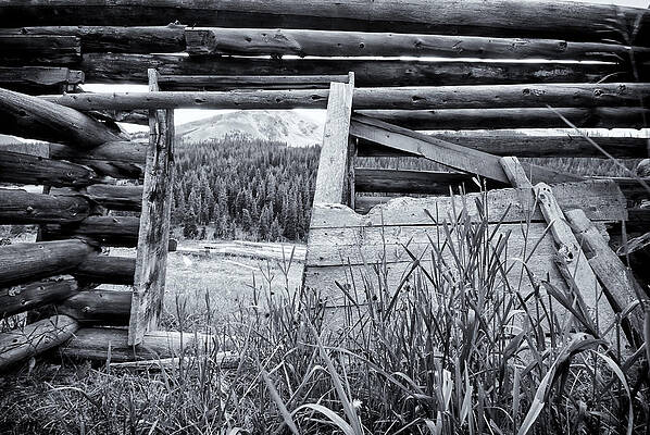 Colorado Photograph - Independence Stable by Ghostwinds Photography