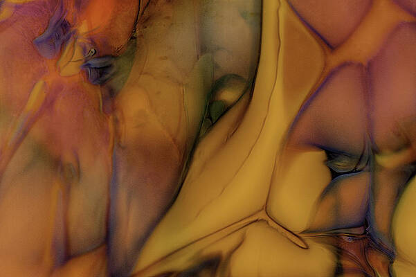 Wall Art featuring the photograph Intensity In Glass by Omaste Witkowski