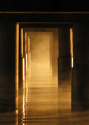 Wall Art featuring the photograph Into The Mist by Lisa Chorny