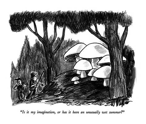 Summer Drawing - Is It My Imagination by Warren Miller