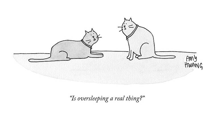 Cats Discussing Oversleeping Wall Art