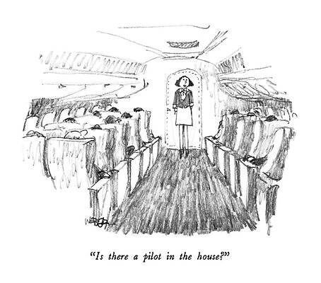Passenger Wall Art featuring the drawing Is There A Pilot In The House? by Robert Weber