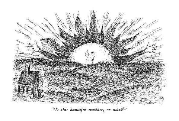Sun Drawing - Is This Beautiful Weather by Edward Koren