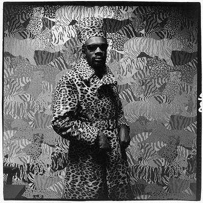 Stylish Man in Animal Print Wall Art