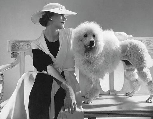 Elegant Woman with Poodle Wall Art