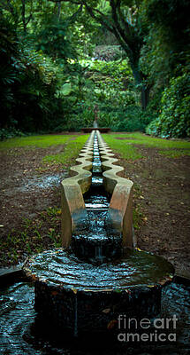 Wall Art featuring the photograph Island Fountain by Blake Webster