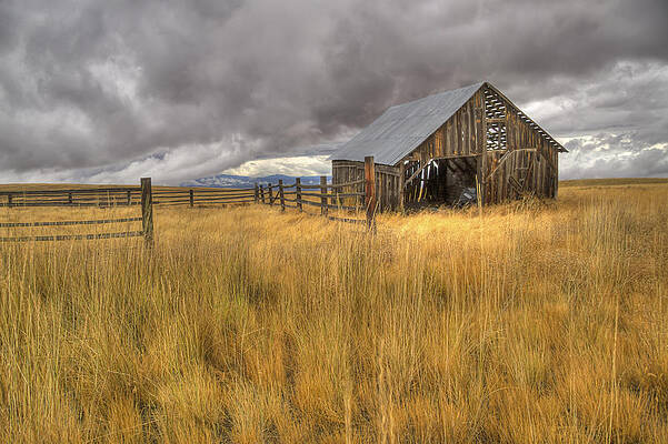 Dramatic Wall Art featuring the photograph Isolated Barn In Oregon by Jean Noren