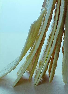 Baking Wall Art featuring the photograph Italian Crackers by Romulo Yanes