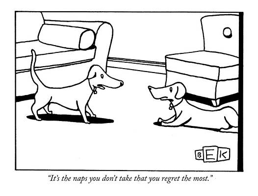 Two Dogs Conversing in Living Room Wall Art