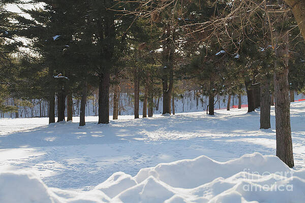 Winter Photograph - Its Winter by William Norton