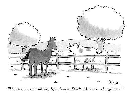 Cow Wall Art featuring the drawing I've Been A Cow All My Life by Jack Ziegler