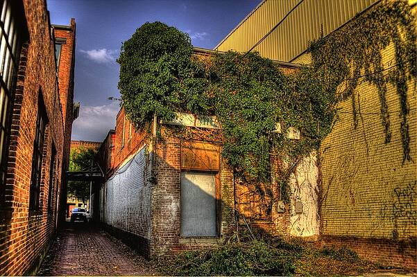 Ohio Wall Art featuring the photograph Ivy Covered Building by Jonny D