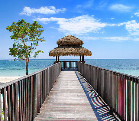 Blue Photograph - Jamaican Paradise by David Hart