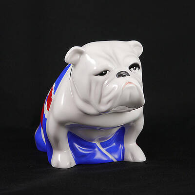 White Photograph - James Bond - British Bulldog - Jack 1 by Richard Reeve