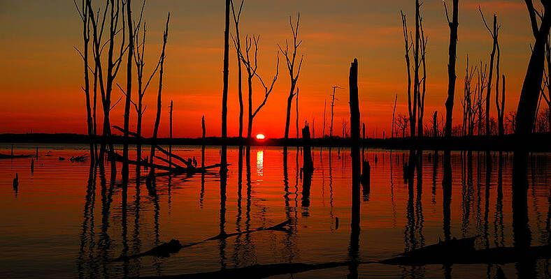 Wilderness Wall Art featuring the photograph January Sunrise by Raymond Salani III