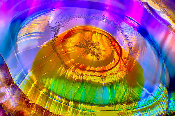 Wall Art featuring the photograph Jellyfish by Omaste Witkowski