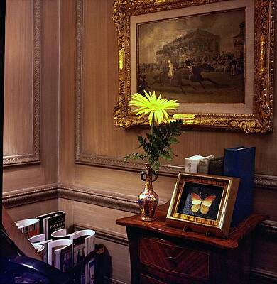Butterfly Photograph - Joseph Verner Reed Jr.'s Home by Horst P. Horst